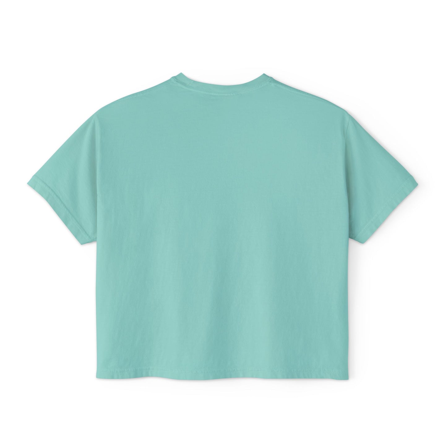 Women's Boxy Tee Not the Nice Sister Graphic Cropped T Shirt funny tee