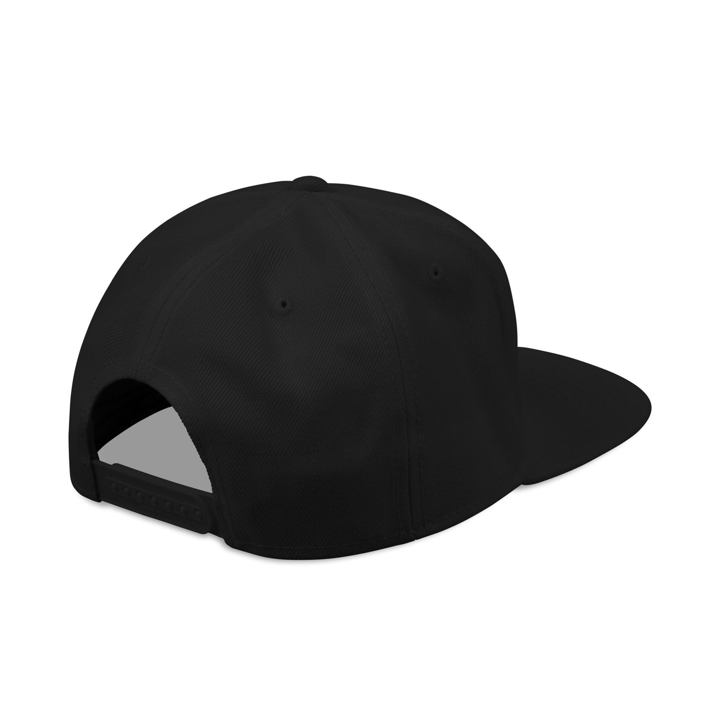 Snapback Hat - Embroidered Cap, Trendy Hat, Streetwear Accessory, Gift for Him, Stylish Headwear, funny hat